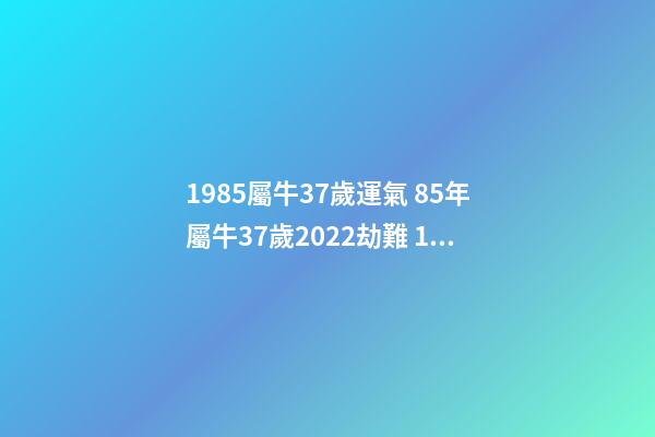 1985屬牛37歲運氣 85年屬牛37歲2022劫難 1985屬牛的一生命運-第1張-觀點-玄機派